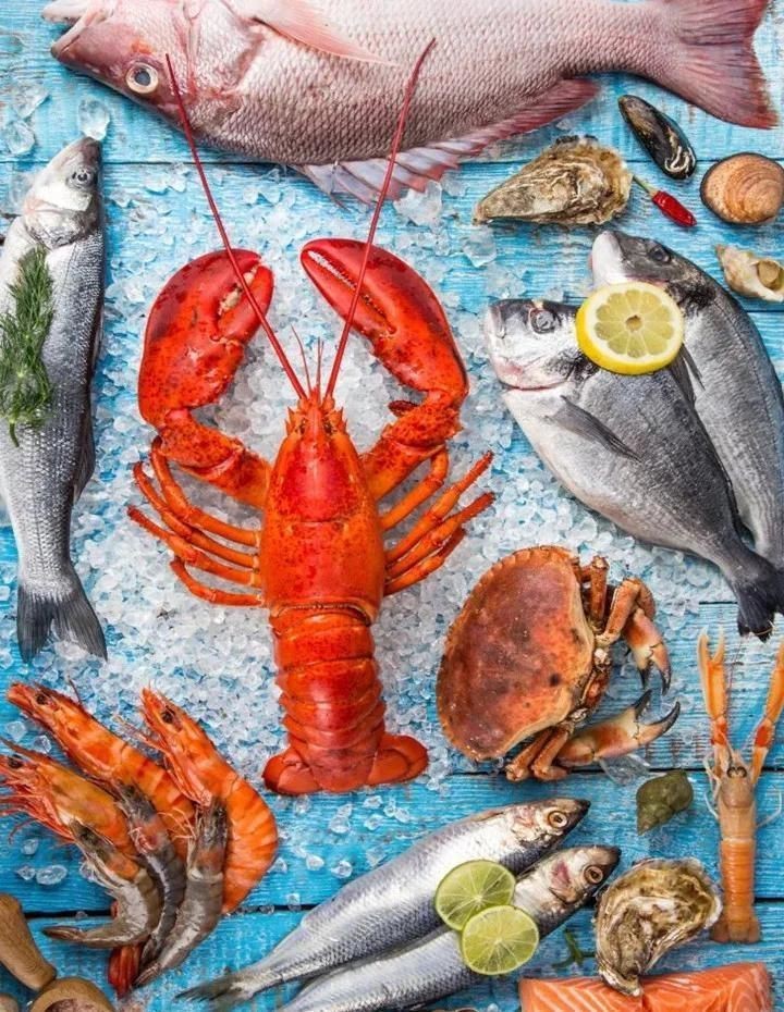 馬來西亞龍魚進貨渠道【廣州龍魚祥龍魚場開啟水族創業之旅】