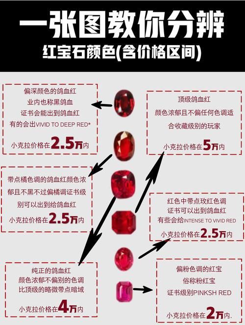 紅寶石公母對(duì)照?qǐng)D【關(guān)于紅寶石魚公母區(qū)分的詳細(xì)對(duì)照指南，助力飼養(yǎng)者精準(zhǔn)判斷】 紅寶石公母對(duì)照?qǐng)D【關(guān)于紅寶石魚公母區(qū)分的詳細(xì)對(duì)照指南，助力飼養(yǎng)者精準(zhǔn)判斷】 龍魚論壇 第13張