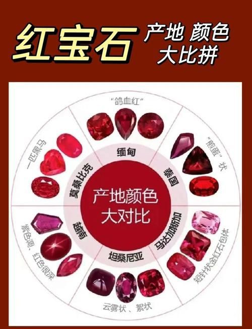 紅寶石公母對(duì)照?qǐng)D【關(guān)于紅寶石魚公母區(qū)分的詳細(xì)對(duì)照指南，助力飼養(yǎng)者精準(zhǔn)判斷】 紅寶石公母對(duì)照?qǐng)D【關(guān)于紅寶石魚公母區(qū)分的詳細(xì)對(duì)照指南，助力飼養(yǎng)者精準(zhǔn)判斷】 龍魚論壇 第15張