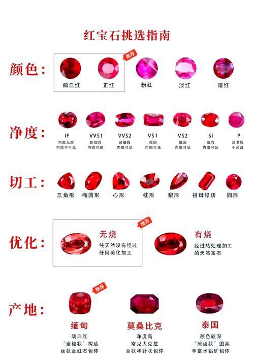 紅寶石公母對(duì)照?qǐng)D【關(guān)于紅寶石魚公母區(qū)分的詳細(xì)對(duì)照指南，助力飼養(yǎng)者精準(zhǔn)判斷】 紅寶石公母對(duì)照?qǐng)D【關(guān)于紅寶石魚公母區(qū)分的詳細(xì)對(duì)照指南，助力飼養(yǎng)者精準(zhǔn)判斷】 龍魚論壇 第9張