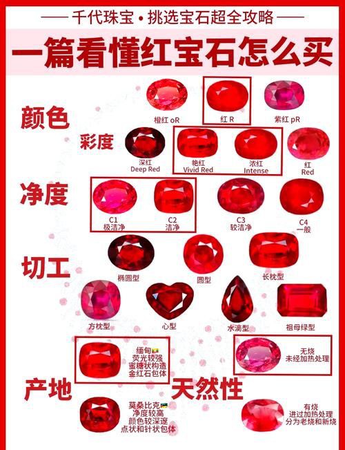 紅寶石公母對(duì)照?qǐng)D【關(guān)于紅寶石魚公母區(qū)分的詳細(xì)對(duì)照指南，助力飼養(yǎng)者精準(zhǔn)判斷】 紅寶石公母對(duì)照?qǐng)D【關(guān)于紅寶石魚公母區(qū)分的詳細(xì)對(duì)照指南，助力飼養(yǎng)者精準(zhǔn)判斷】 龍魚論壇 第19張