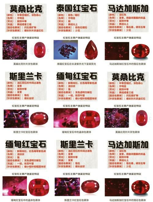 紅寶石公母對(duì)照?qǐng)D【關(guān)于紅寶石魚公母區(qū)分的詳細(xì)對(duì)照指南，助力飼養(yǎng)者精準(zhǔn)判斷】 紅寶石公母對(duì)照?qǐng)D【關(guān)于紅寶石魚公母區(qū)分的詳細(xì)對(duì)照指南，助力飼養(yǎng)者精準(zhǔn)判斷】 龍魚論壇 第16張