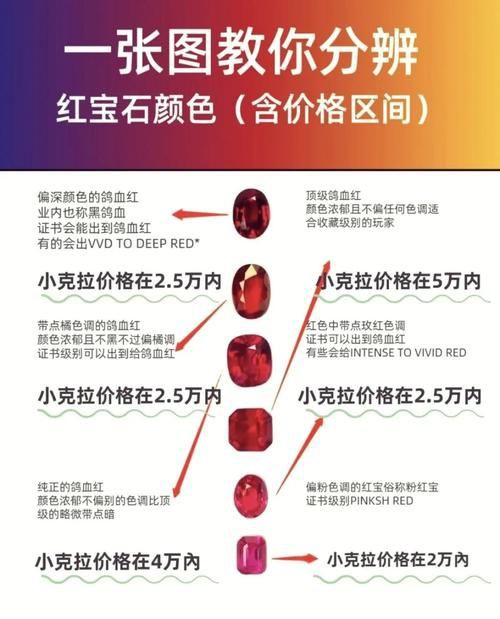 紅寶石公母對(duì)照?qǐng)D【關(guān)于紅寶石魚公母區(qū)分的詳細(xì)對(duì)照指南，助力飼養(yǎng)者精準(zhǔn)判斷】 紅寶石公母對(duì)照?qǐng)D【關(guān)于紅寶石魚公母區(qū)分的詳細(xì)對(duì)照指南，助力飼養(yǎng)者精準(zhǔn)判斷】 龍魚論壇 第25張