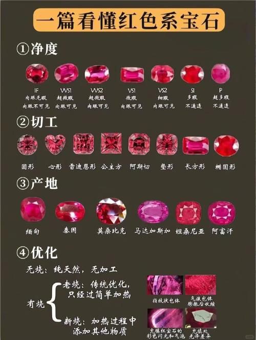 紅寶石公母對(duì)照?qǐng)D【關(guān)于紅寶石魚公母區(qū)分的詳細(xì)對(duì)照指南，助力飼養(yǎng)者精準(zhǔn)判斷】 紅寶石公母對(duì)照?qǐng)D【關(guān)于紅寶石魚公母區(qū)分的詳細(xì)對(duì)照指南，助力飼養(yǎng)者精準(zhǔn)判斷】 龍魚論壇 第26張