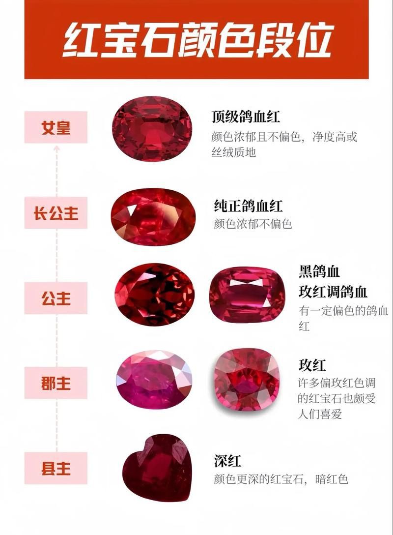紅寶石公母對(duì)照?qǐng)D【關(guān)于紅寶石魚公母區(qū)分的詳細(xì)對(duì)照指南，助力飼養(yǎng)者精準(zhǔn)判斷】 紅寶石公母對(duì)照?qǐng)D【關(guān)于紅寶石魚公母區(qū)分的詳細(xì)對(duì)照指南，助力飼養(yǎng)者精準(zhǔn)判斷】 龍魚論壇 第11張