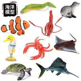 球鯊魚多少錢一條【鯊魚交易背后的生態警示——】