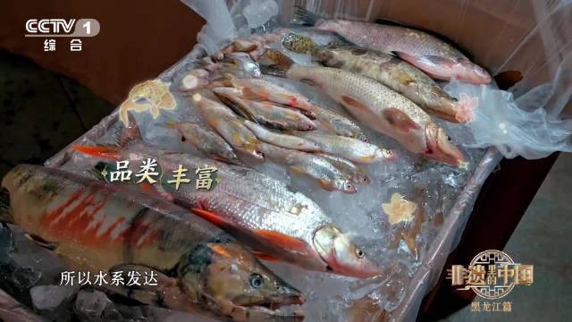 同江水族店【三江口水族店“雙色江”奇觀成為游客打卡地】