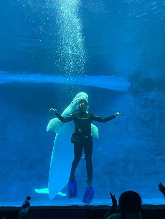 荊州水族店【荊州小梅沙水族館】