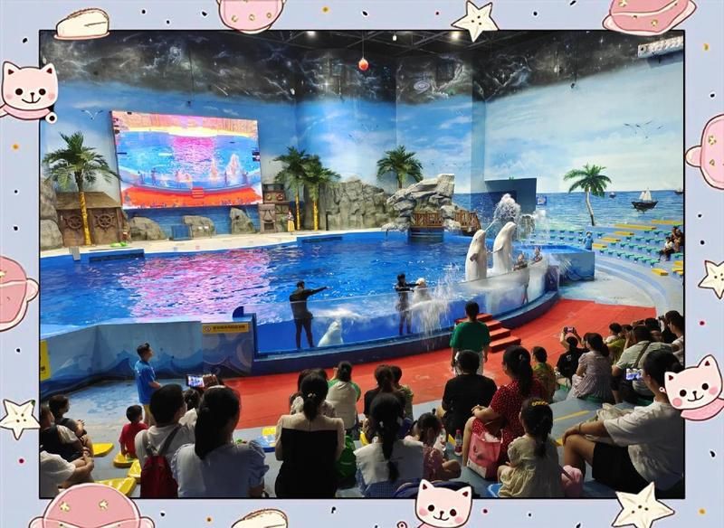 荊州水族店【荊州小梅沙水族館】