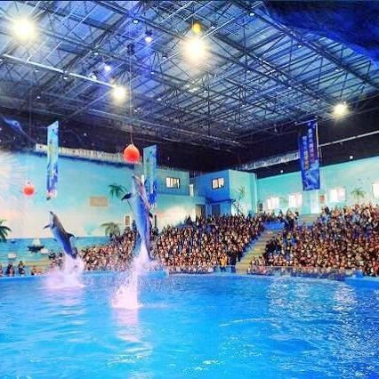 荊州水族店【荊州小梅沙水族館】