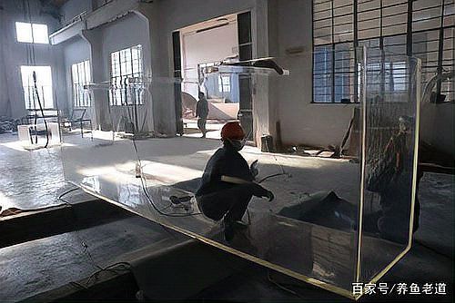 1米魚缸最佳尺寸【1米魚缸尺寸全攻略|新手必看容量對照表】