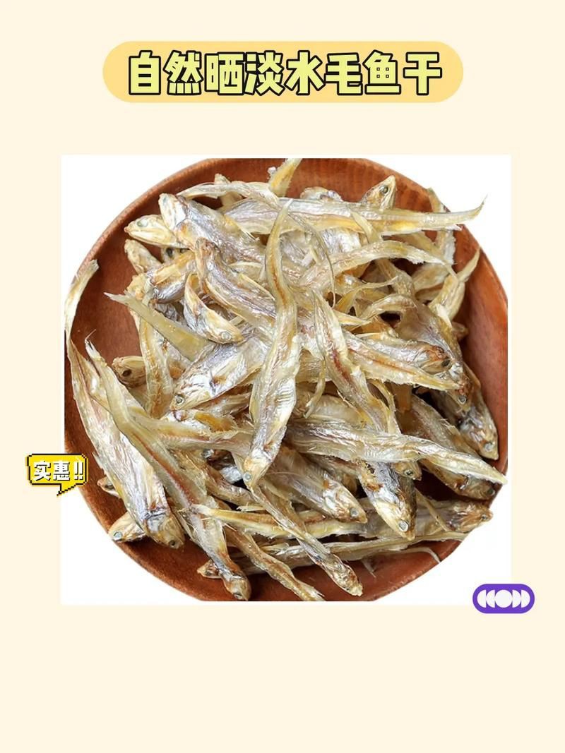 毛鲿魚圖片【動物界脊索動物界脊索動物門石首魚科毛鲿魚（megalonibea）】