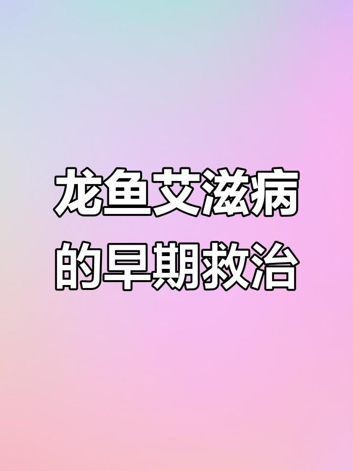 有哪些龍魚病是傳染性的？【龍魚常見的傳染性疾病有哪些如何預防養魚小藝】