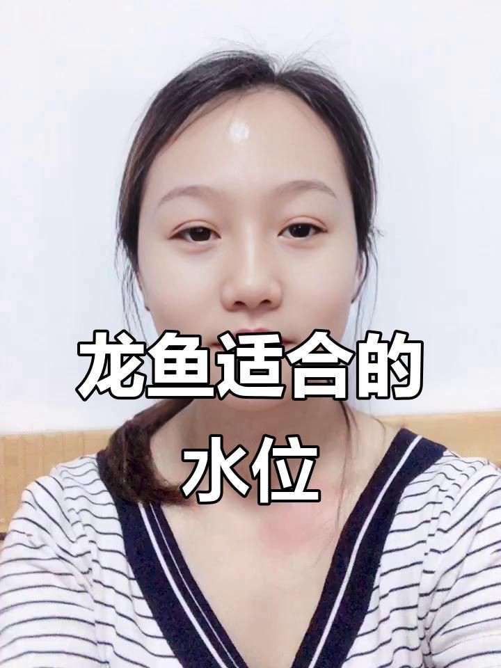 如何降低龍魚的飼養成本？【《如何降低龍魚的飼養成本？》】