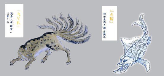 甲魚的牙齒長什么樣【甲魚屬于爬行綱鱉，可能是現代脊椎動物】 甲魚的牙齒長什么樣【甲魚屬于爬行綱鱉，可能是現代脊椎動物】 龍魚論壇 第10張