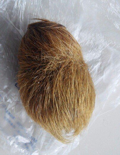 全國唯一上門交易古董公司【全國唯一一家提供上門交易服務的古董公司】