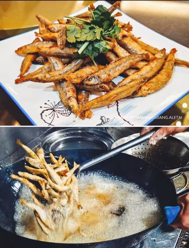 八里罕龍魚店【八里罕龍魚店的具體地址在哪里】