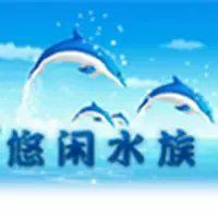 孔雀魚論壇【“孔雀魚論壇”是一個專注于孔雀魚與交流的綜合性平臺】