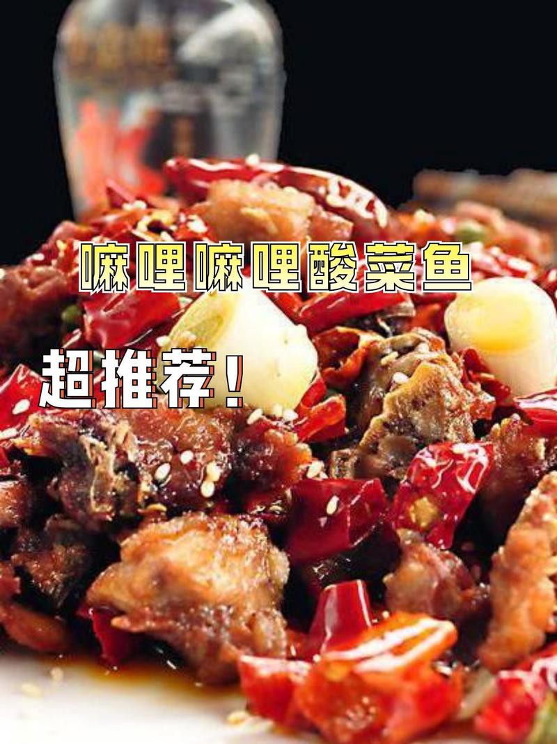 尚志龍魚店【尚志市新洋洋水族店】