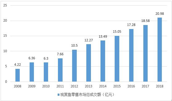 神仙魚多少元一只【神仙魚市場價格全解析：神仙魚市場價格全解析】