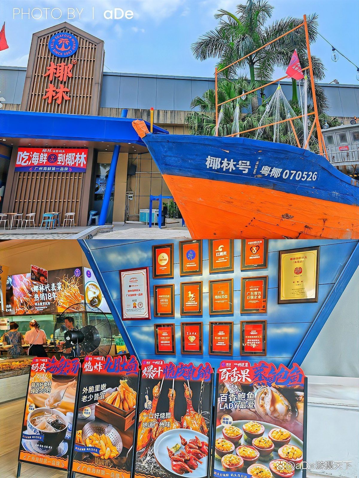 從化龍魚店【從化溫泉龍魚店注銷后何去何從】