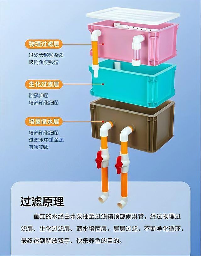 濾材混合好還是單一好【《濾材混合好還是單一好》】 龍魚百科 第2張 濾材混合好還是單一好【《濾材混合好還是單一好》】 濾材混合好還是單一好【《濾材混合好還是單一好》】 龍魚百科 第2張