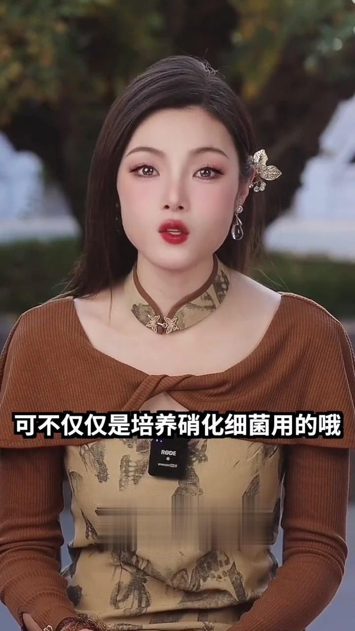 濾材魚缸過濾【新手養(yǎng)魚避坑指南之濾材嗶哩嗶哩嗶哩嗶哩嗶哩】
