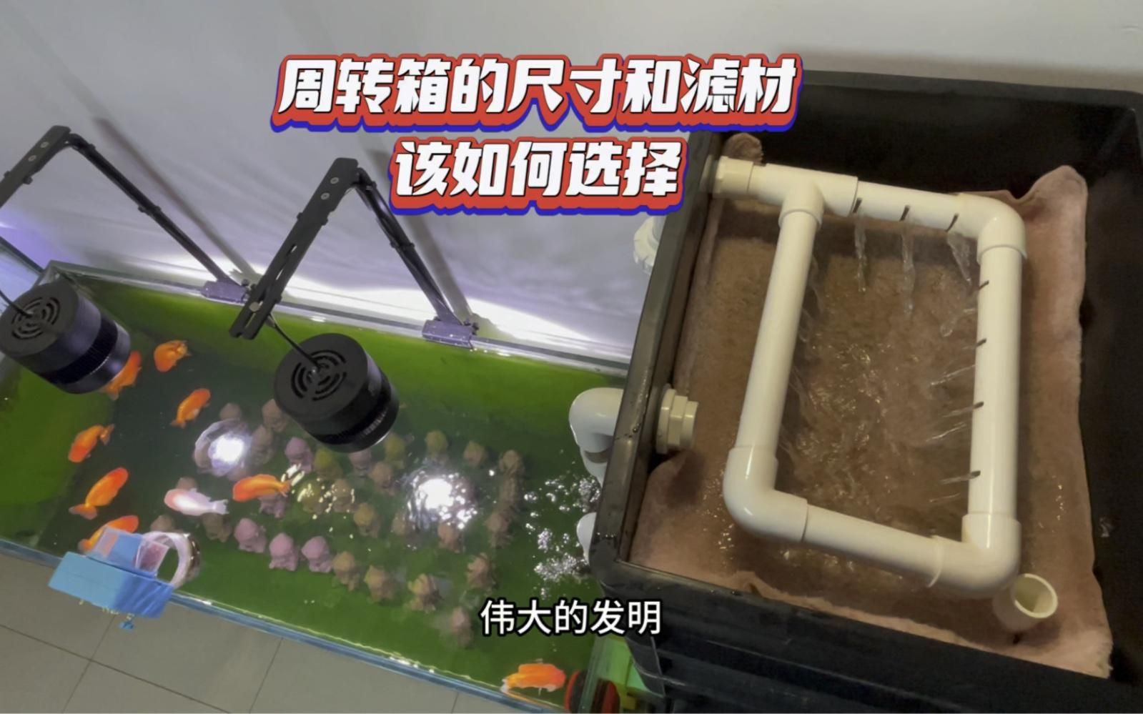 濾材魚缸過濾【新手養(yǎng)魚避坑指南之濾材嗶哩嗶哩嗶哩嗶哩嗶哩】