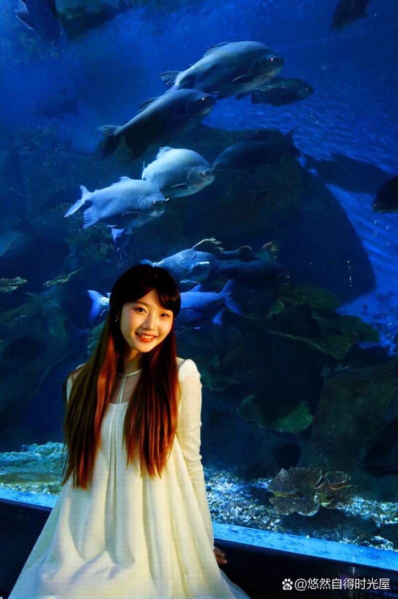 廣西水族店【廣西水族市場規模有多大】 廣西水族店【廣西水族市場規模有多大】 全國水族館企業名錄 第2張