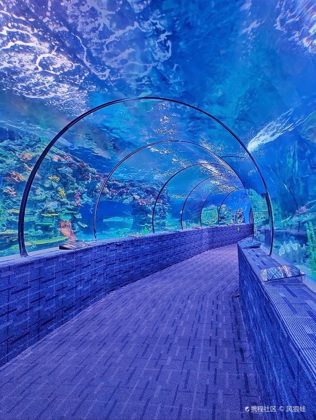 廣西水族店【廣西水族市場規模有多大】 廣西水族店【廣西水族市場規模有多大】 全國水族館企業名錄 第5張
