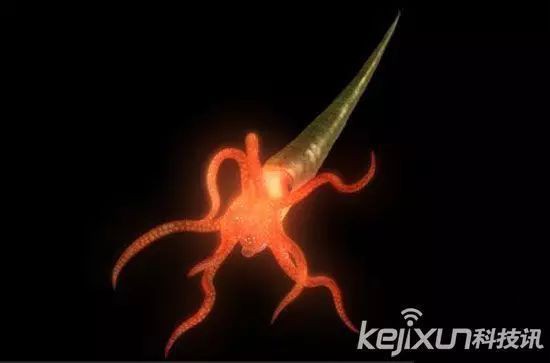 恐龍時代的魚類【5種恐龍時代的觀賞魚，龍魚知名度很高】