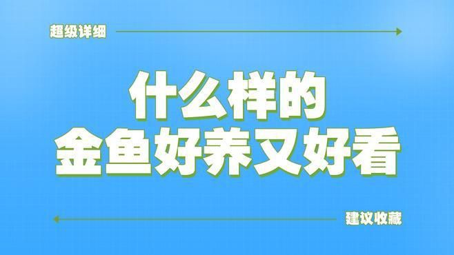 有哪些著名的金魚品種？【達爾文曾贊嘆其無限多樣的顏色和非凡的表型結構變化】