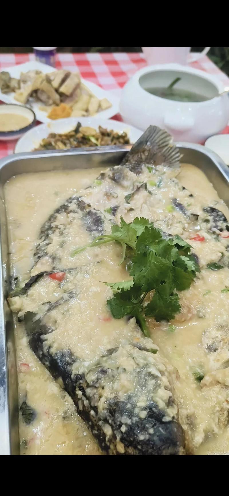 上思龍魚店【上思龍魚店是一家專注于淡水魚養(yǎng)殖與銷售與銷售的特色店鋪】 上思龍魚店【上思龍魚店是一家專注于淡水魚養(yǎng)殖與銷售與銷售的特色店鋪】 全國(guó)水族館企業(yè)名錄 第5張