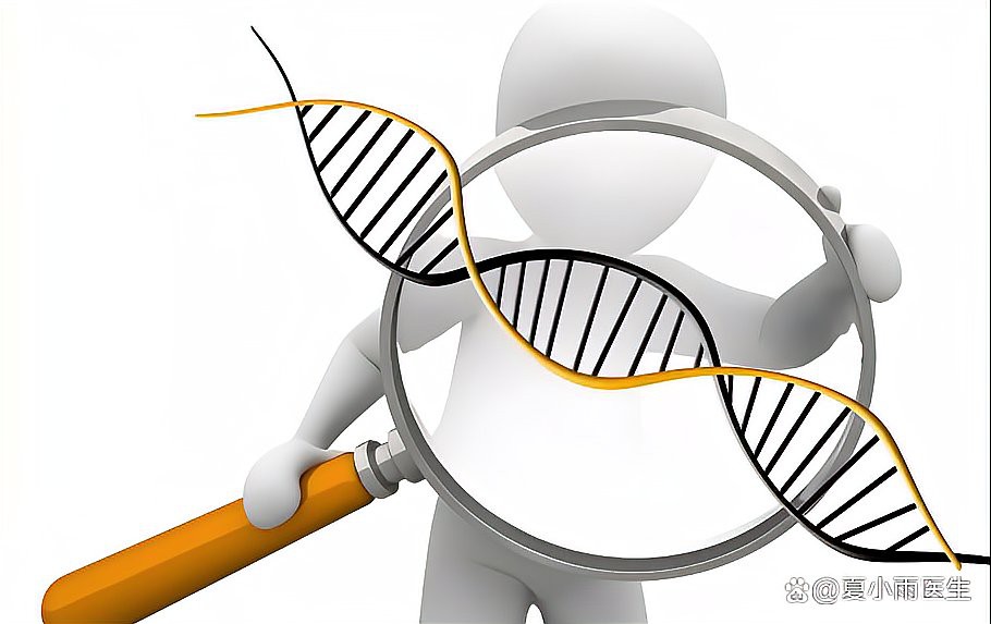 什么人易得帕金森病【什么人容易得帕金森病】