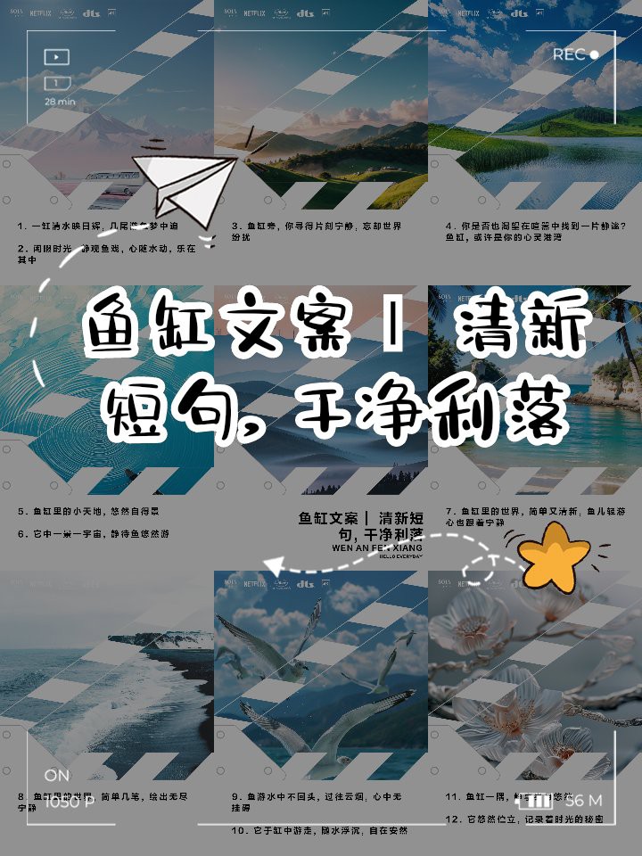 二手魚缸出售100元【二手魚缸價值百元！】