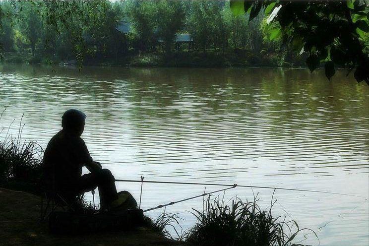 魚浮頭亂竄是什么原因【魚類浮頭亂竄的原因】