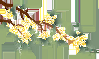 什么醫院最好【什么醫院最好，在探尋“什么醫院最好”這一問題時并無統一答案】