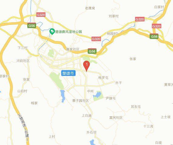 楚雄彝族自治州龍魚店，楚雄州2024年經濟總量突破2000億元