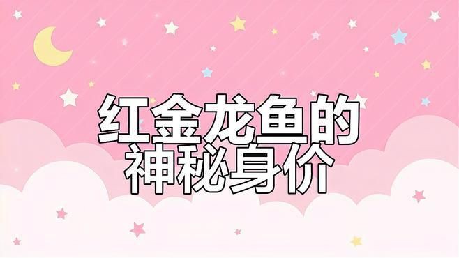 紅金龍魚為什么這么貴？【紅金龍魚為什么那么貴】