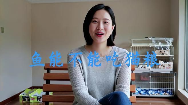 貓糧可以喂鯽魚和鯉魚嗎【貓糧是否可以喂鯽魚和鯉魚】