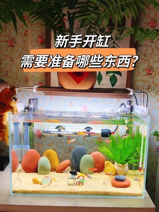 新手養魚必備裝備清單【《新手養魚必備裝備清單》】