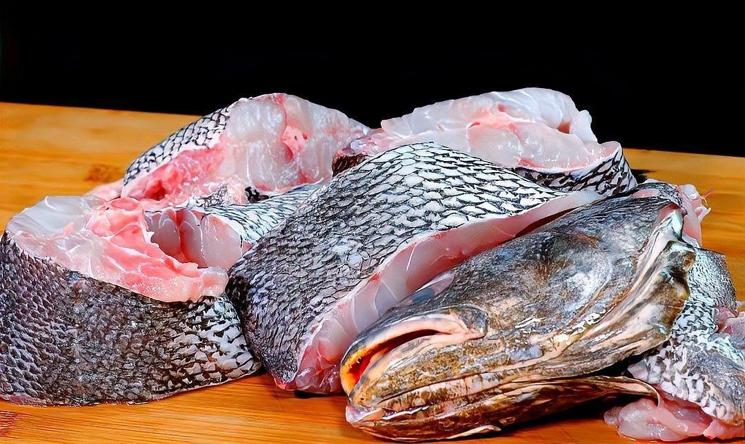 鮸魚俗稱什么魚【[需手動填充]魚——海洋里的美食寶藏】 鮸魚俗稱什么魚【[需手動填充]魚——海洋里的美食寶藏】 龍魚百科 第9張