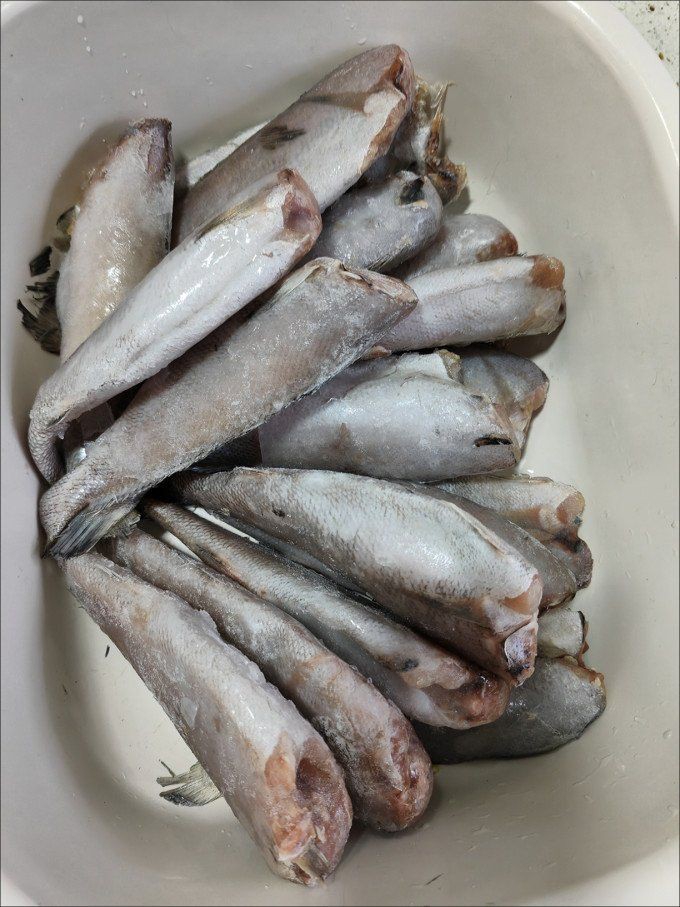 鮸魚俗稱什么魚【[需手動填充]魚——海洋里的美食寶藏】 鮸魚俗稱什么魚【[需手動填充]魚——海洋里的美食寶藏】 龍魚百科 第10張