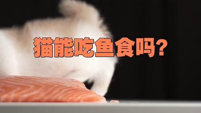 貓吃魚好還是吃貓糧好【農(nóng)村的貓吃剩飯,城里貓吃貓糧還嫌便宜,這么矯情萌寵指南】