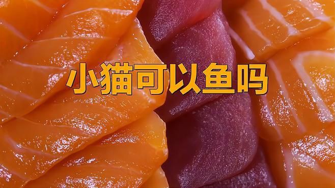 貓吃魚好還是吃貓糧好【農(nóng)村的貓吃剩飯,城里貓吃貓糧還嫌便宜,這么矯情萌寵指南】