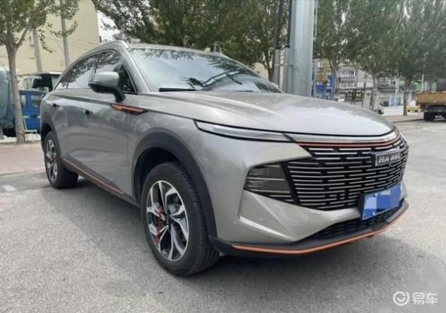 買哈弗神獸十大忠告【太平洋汽車,購買哈弗神獸十大忠告!】 買哈弗神獸十大忠告【太平洋汽車,購買哈弗神獸十大忠告!】 龍魚百科 第6張