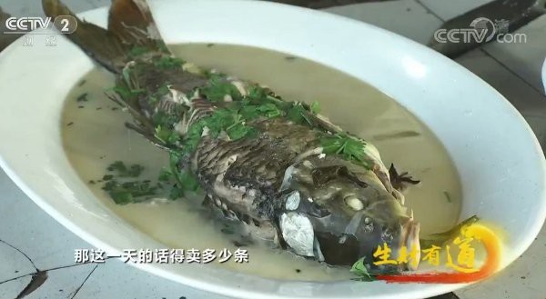 寬城滿族龍魚店【寬城滿族龍魚店)流水溝店)攻略攜程旅行】 寬城滿族龍魚店【寬城滿族龍魚店)流水溝店)攻略攜程旅行】 全國水族館企業名錄 第7張
