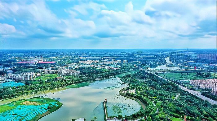 單縣龍魚店【單縣有龍魚店嗎】