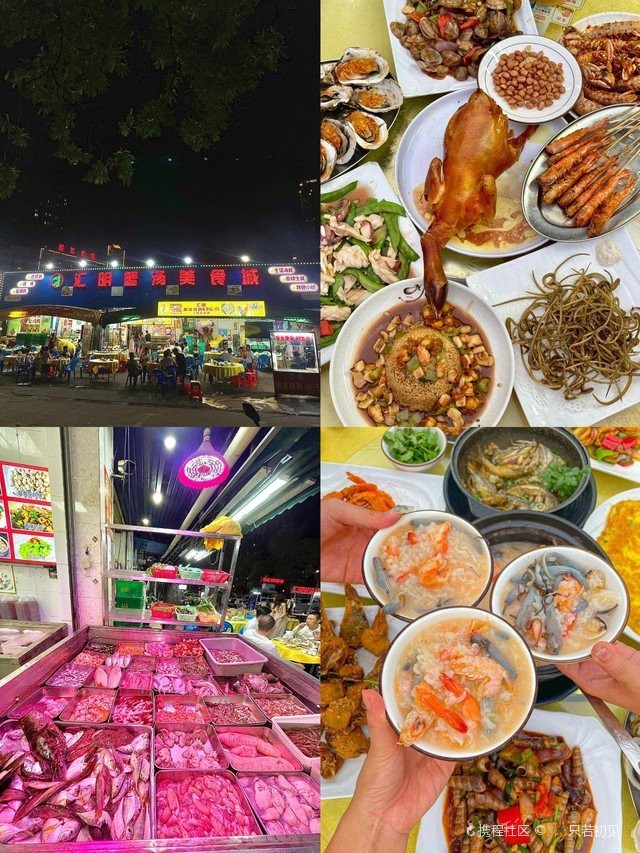 坡頭龍魚店【坡頭區有龍魚店嗎】