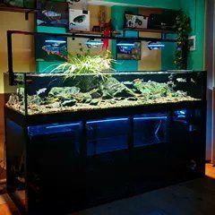 積光f8參數【積光f8系列魚缸燈全方位解析積光f8系列魚缸燈】
